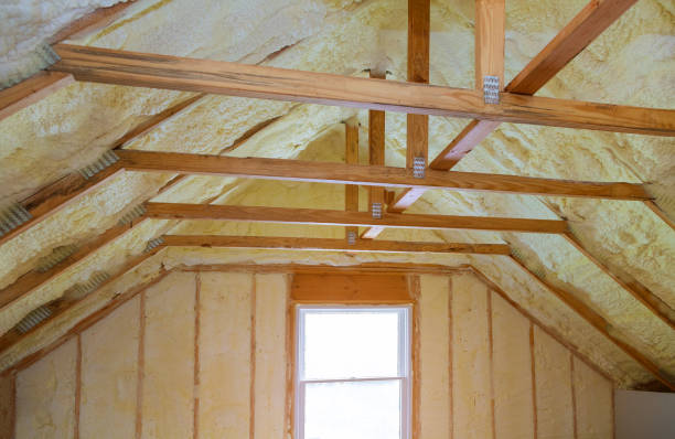 Best Insulation Contractors for Homes  in Inverness, IL