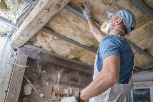 Professional Insulation Contractor in Inverness, IL